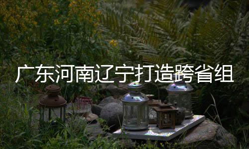 入选跨省组合泽涛广东河南辽宁打造队接力 宁有望三省